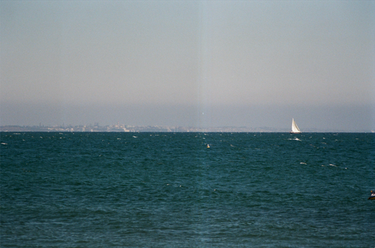 sailing to the city