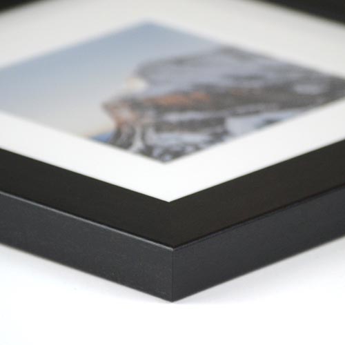 prints in the snow
