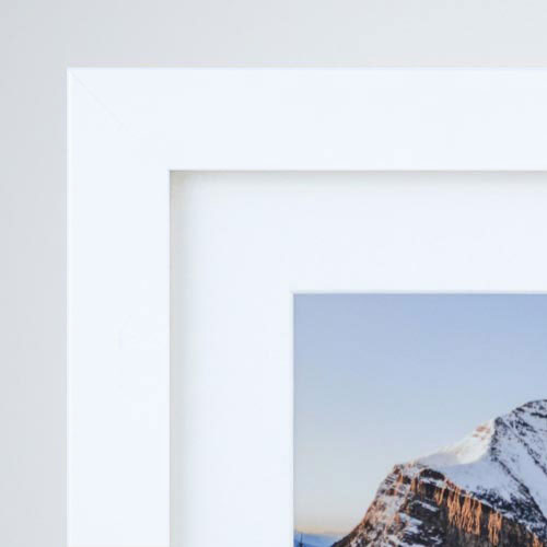 prints in the snow