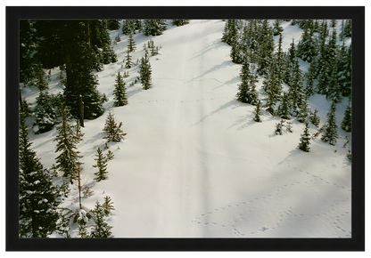 prints in the snow