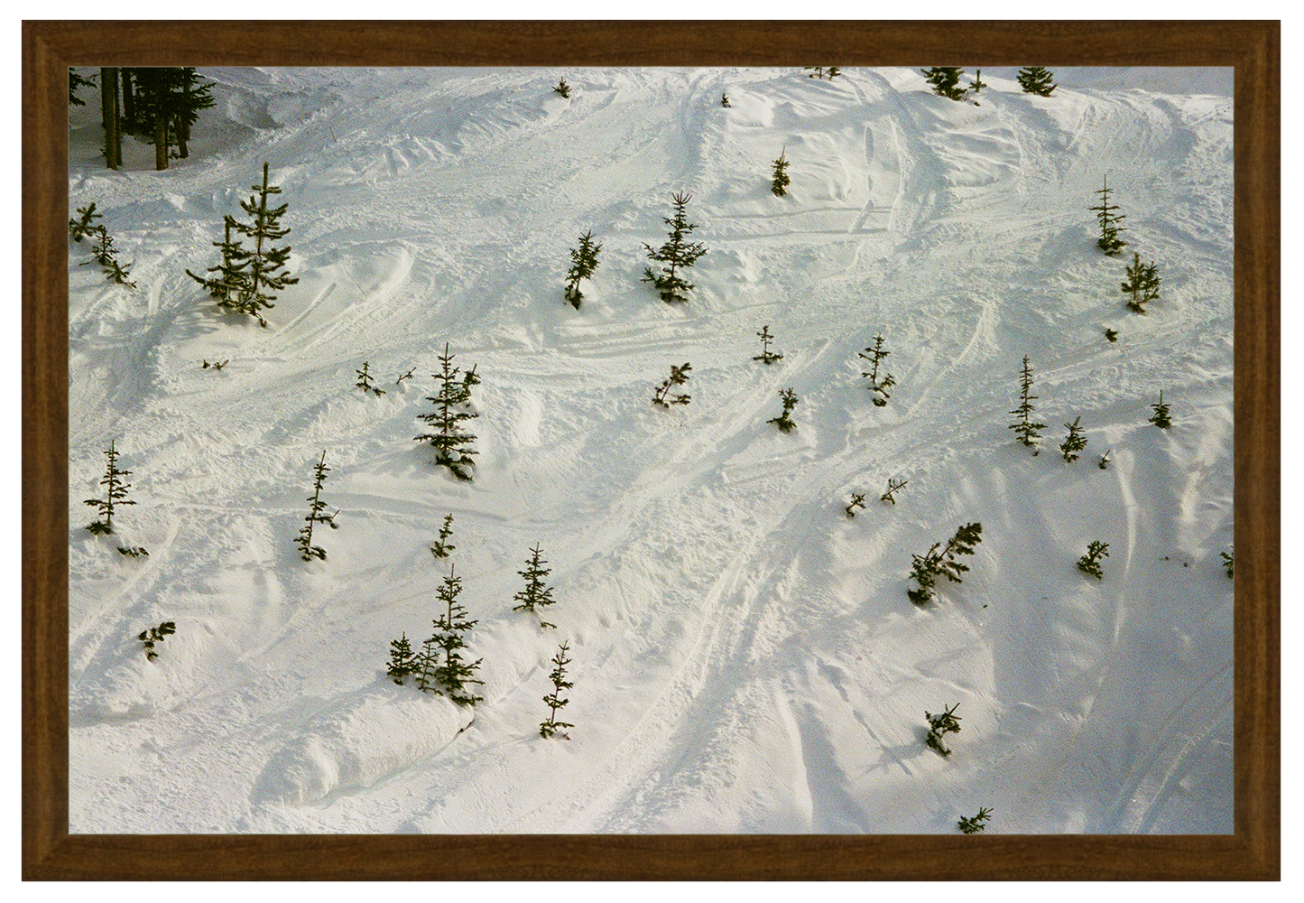 paths in the snow no. 1