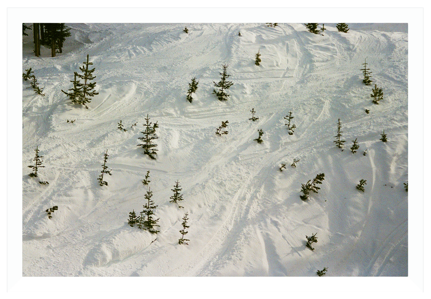 paths in the snow no. 1