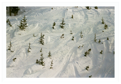 paths in the snow no. 1